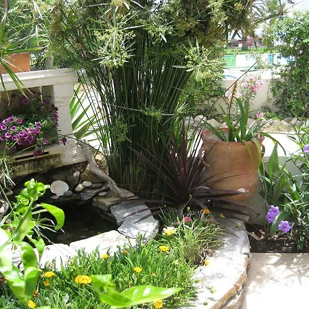 Beach Side Garden *
